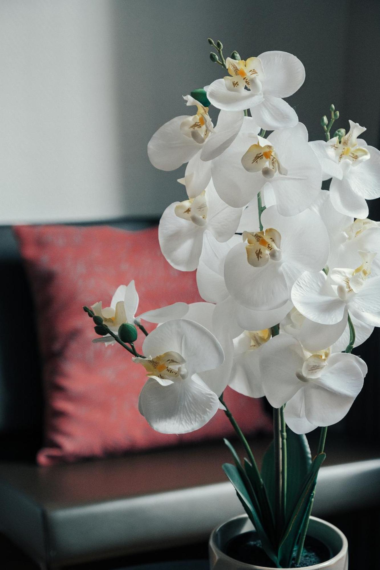 Arte Hotel 4*